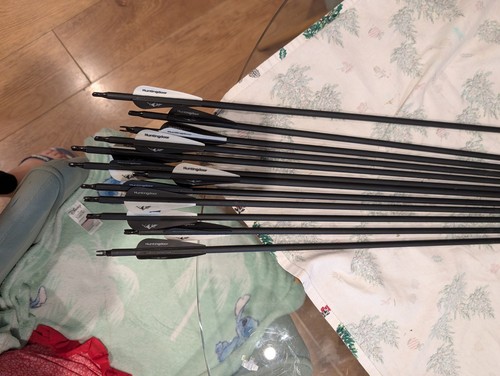 12pcs archery carbon arrow - archery,